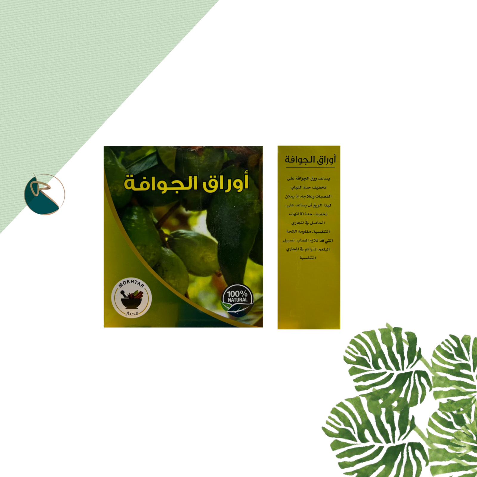 Guava Leaves